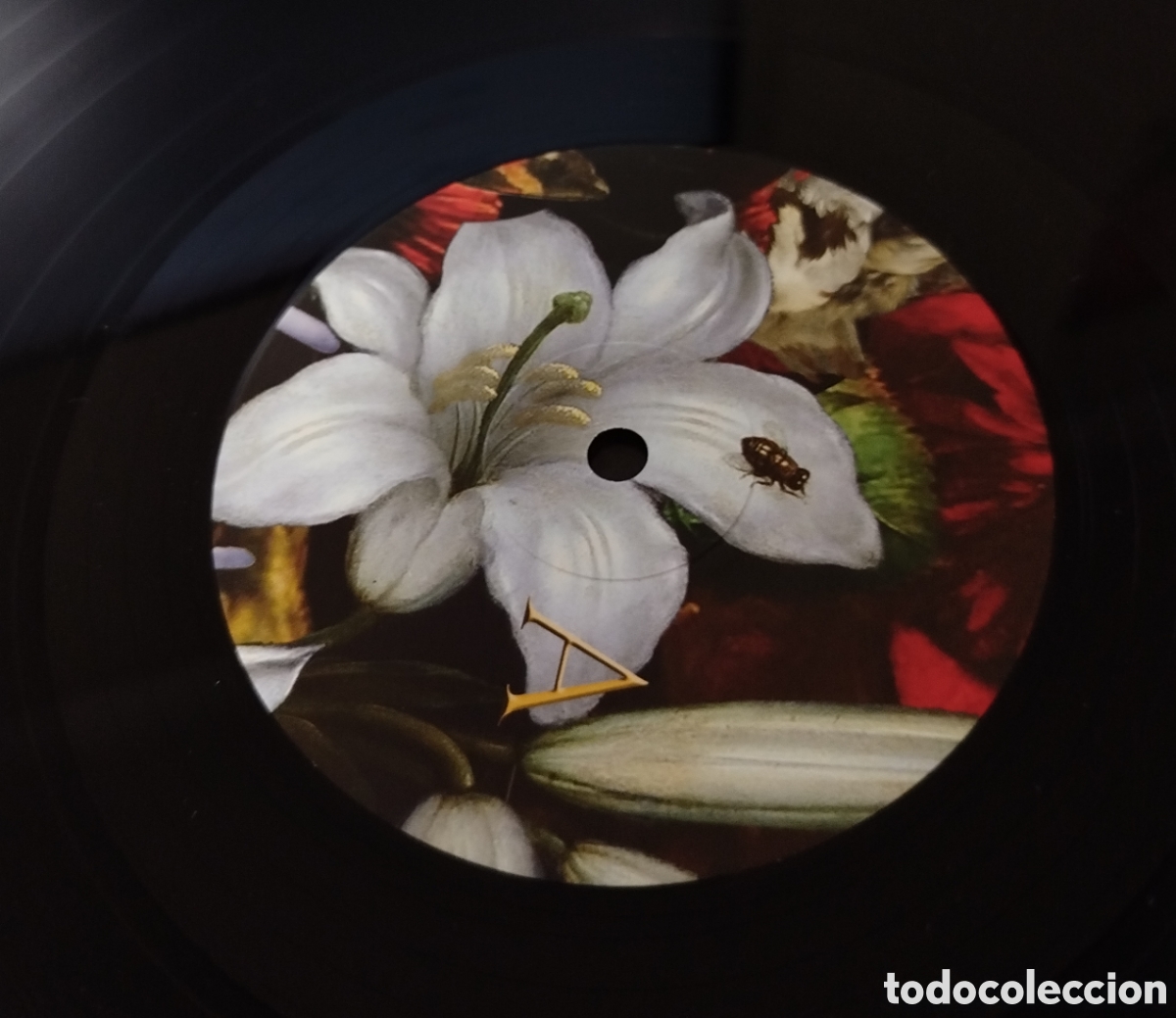 Discos de vinilo: The Nightingales &ndash; Perish The Thought - Foto 3