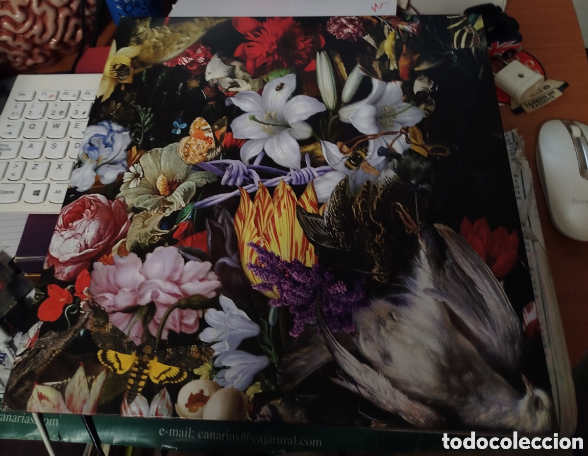 Discos de vinilo: The Nightingales &ndash; Perish The Thought