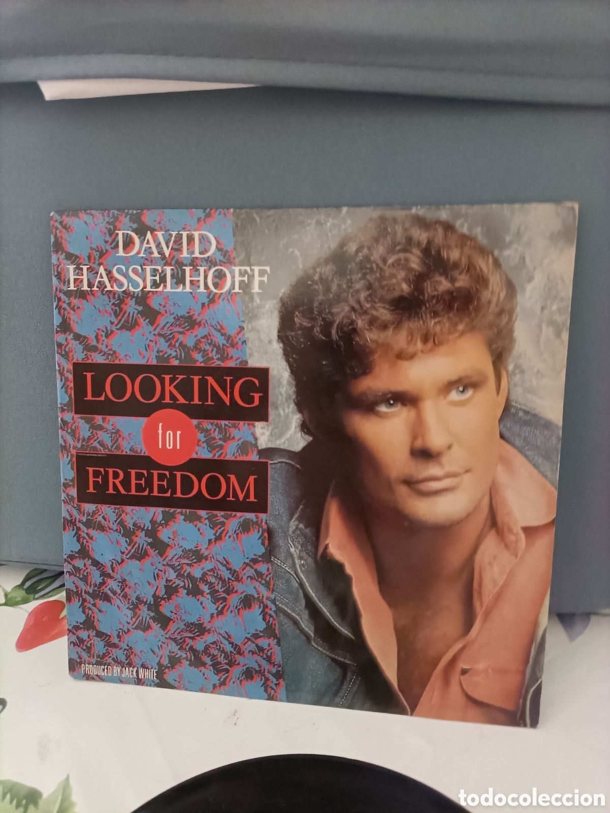 Discos de vinilo: Single, David Hasselhoff - Foto 2