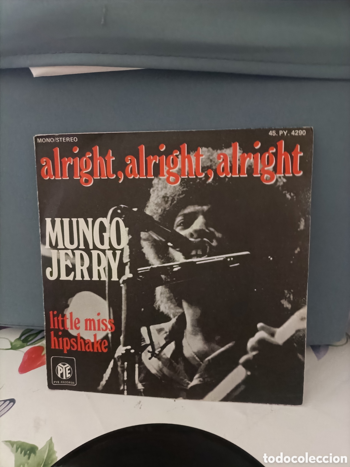 Discos de vinilo: Single Vintage, Mundo Jerry - Foto 2