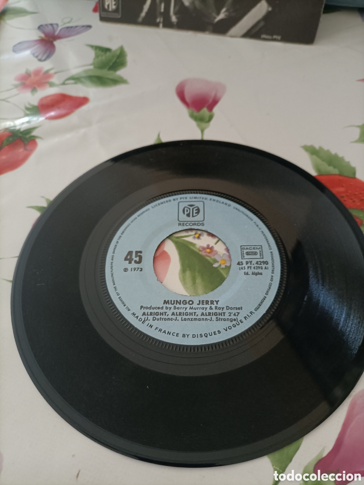 Discos de vinilo: Single Vintage, Mundo Jerry - Foto 7
