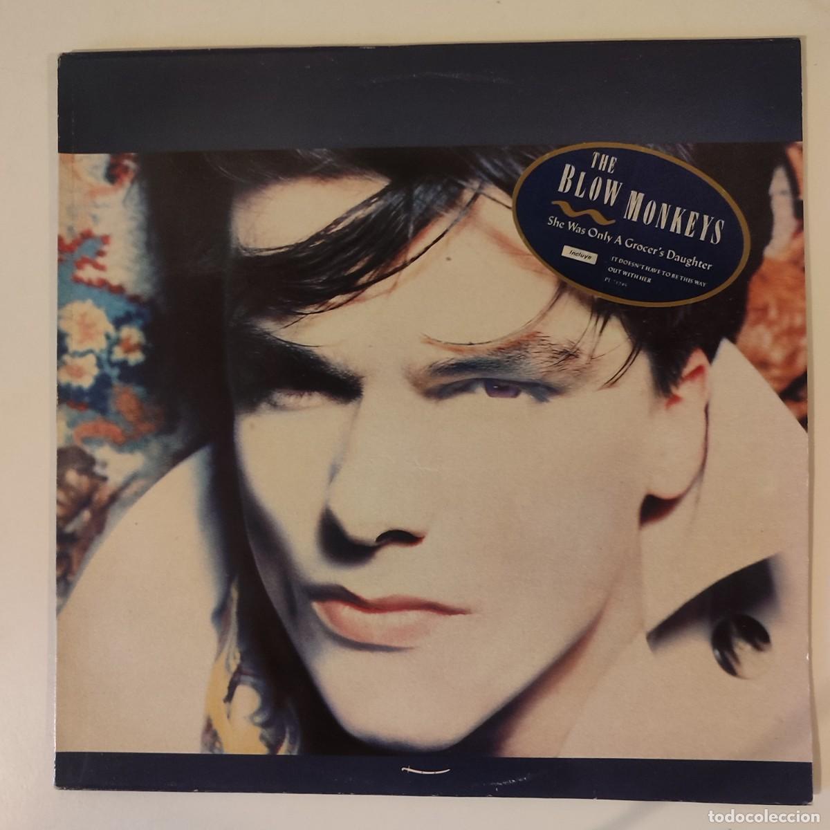 Discos de vinilo: The Blow Monkeys - She Was Only A Grocer's Daughter