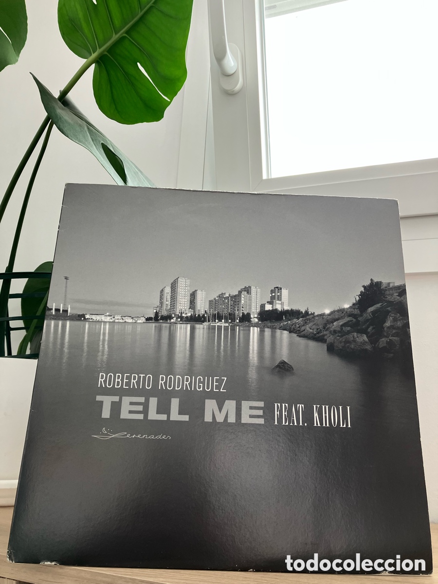 Discos de vinilo: Roberto Rodriguez - Tell Me - Foto 2