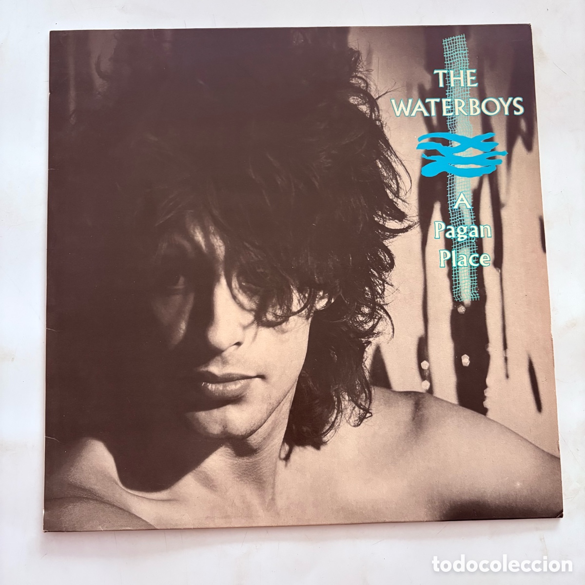 Discos de vinilo: lp The Waterboys &lrm;&ndash; A Pagan Place edicion espa&ntilde;ola de 1984