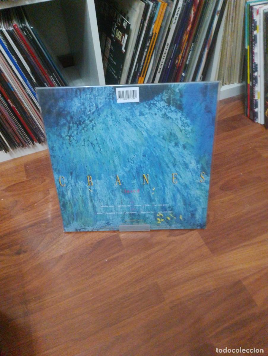 Discos de vinilo: cranes - loved - vinilo - Foto 2