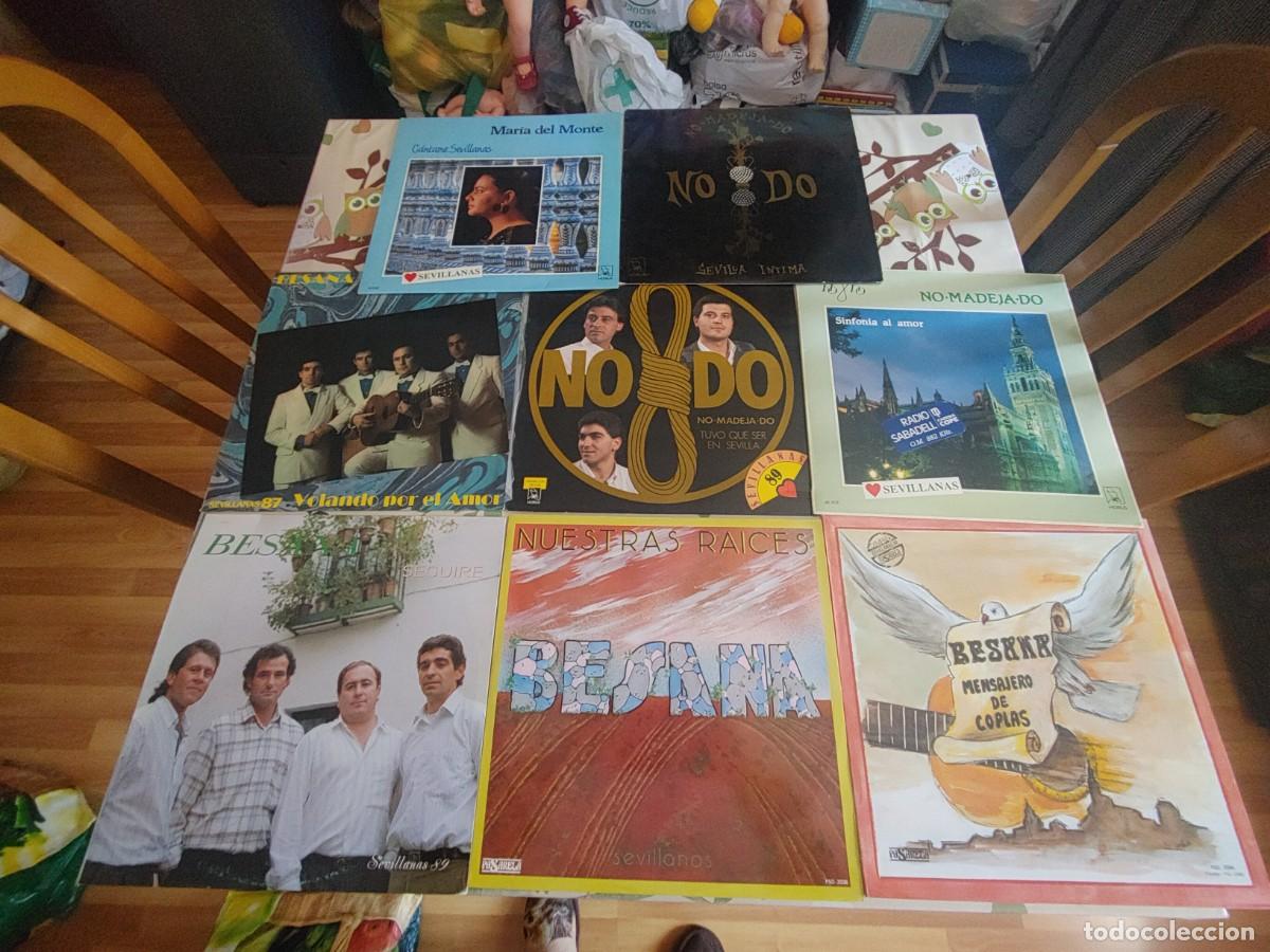 Discos de vinilo: lote de 12 lps de sevillanas,nodo,besana,romero sanjuan y maria del monte