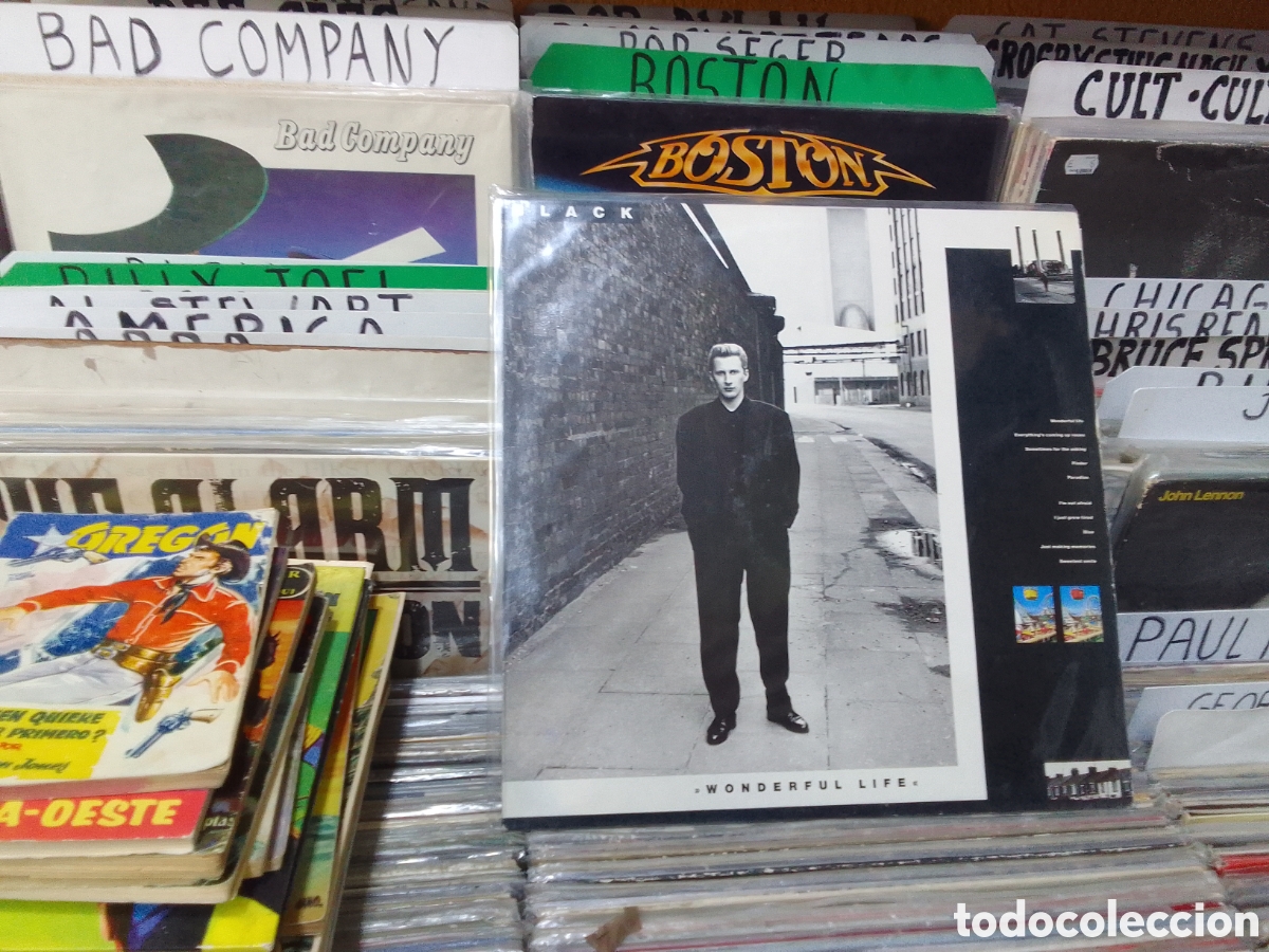 Discos de vinilo: Black, wonderful life