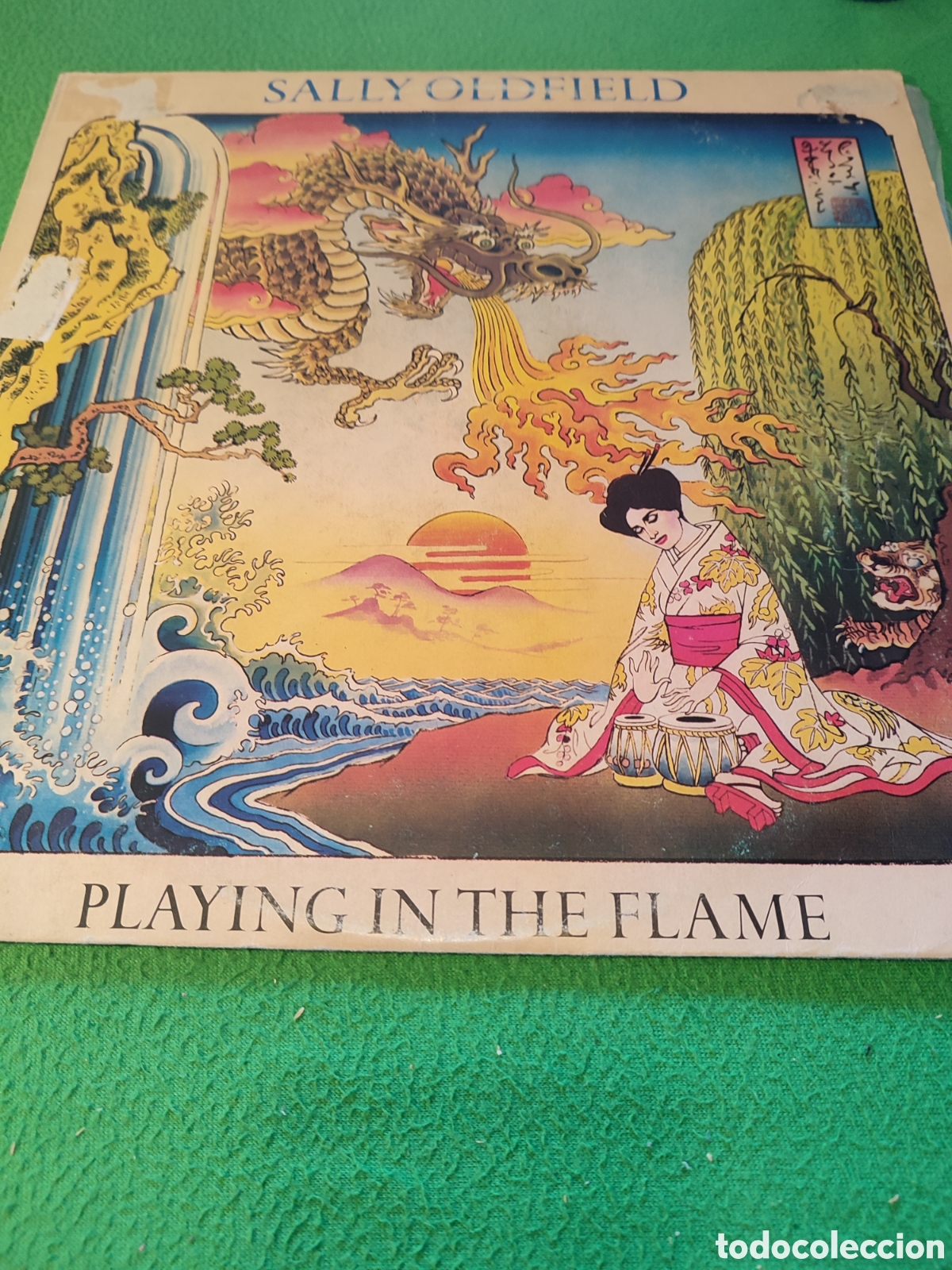 Discos de vinilo: Sally Oldfield - Playing in the flame - Foto 1