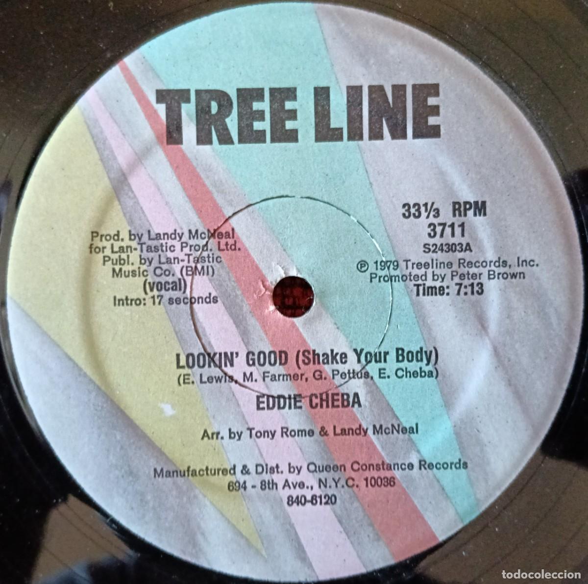 Discos de vinilo: EDDIE CHEBA ** Lookin' Good (Shake Your Body) ** MAXI SINGLE VINILO 1979 USA