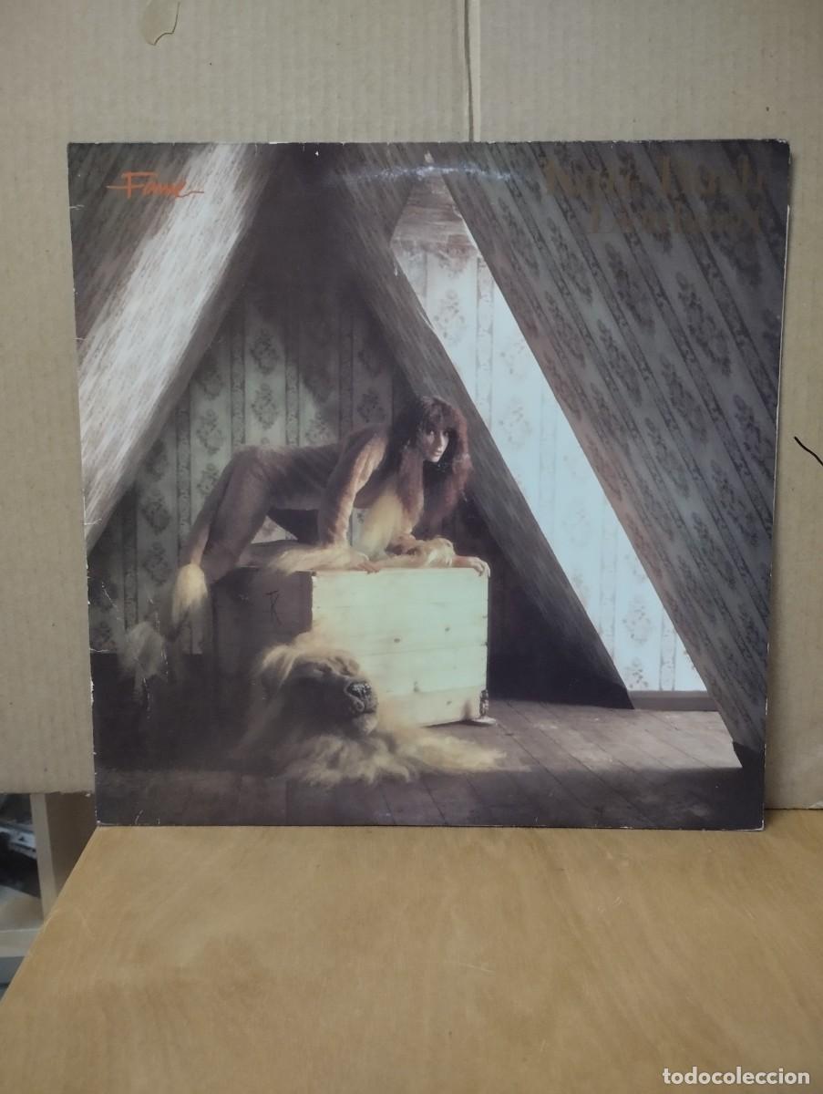 Discos de vinilo: KATE BUSH ---- --- LION HEART