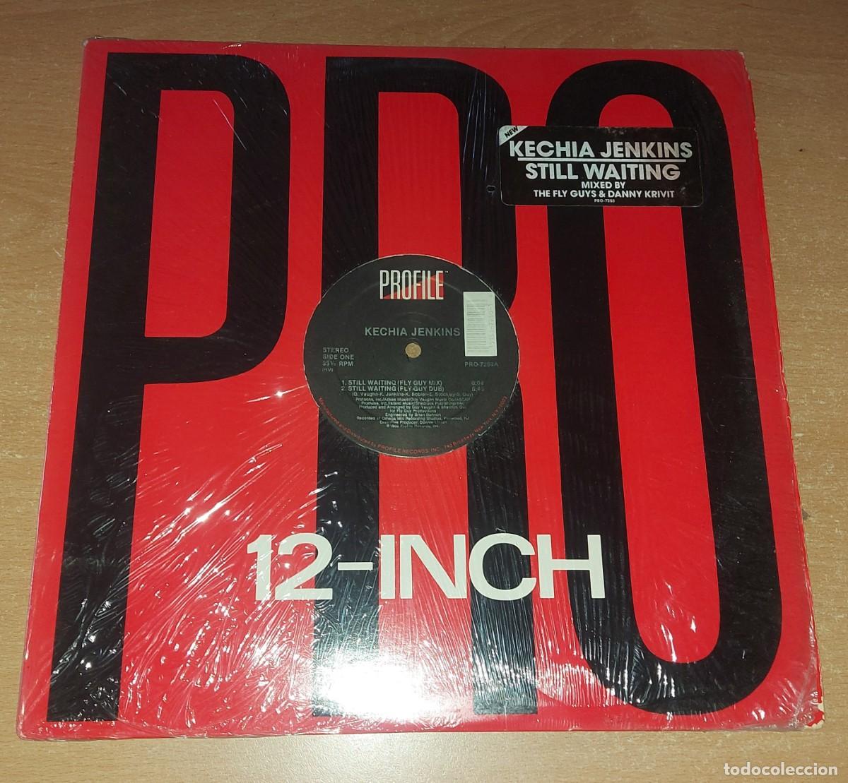 Discos de vinilo: Lp maxi Kechia Jenkins Still Waiting a&ntilde;o 1989 Usa
