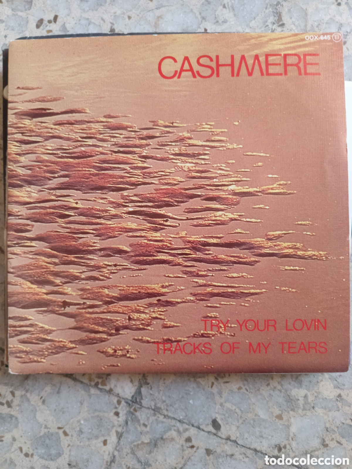 Discos de vinilo: SGL CASHMERE TRY YOUR LOVIN 1984 PROMO