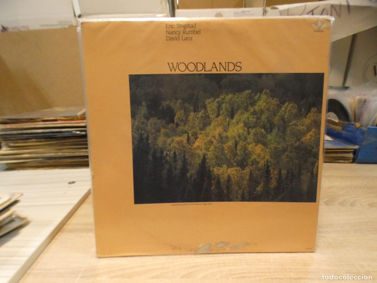 Vinyl-Schallplatten: ARKANSAS1980 LOTT719 VINILO MUY BUEN ESTADO ERIC TINGSTAD NANCY RUMBEL & DAVID LANZ