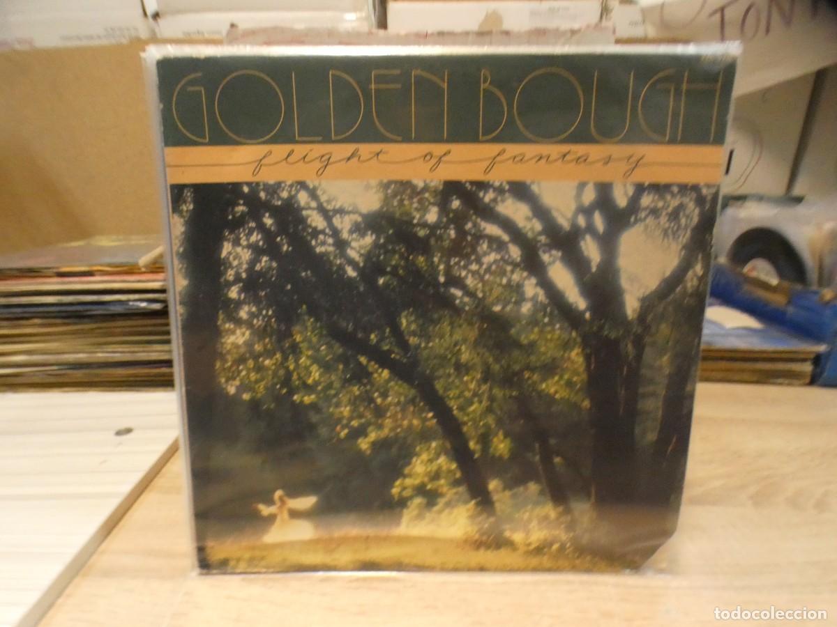 Disques de vinyle: ARKANSAS1980 LOTT719 VINILO MUY BUEN ESTADO GOLDEN BOUGH