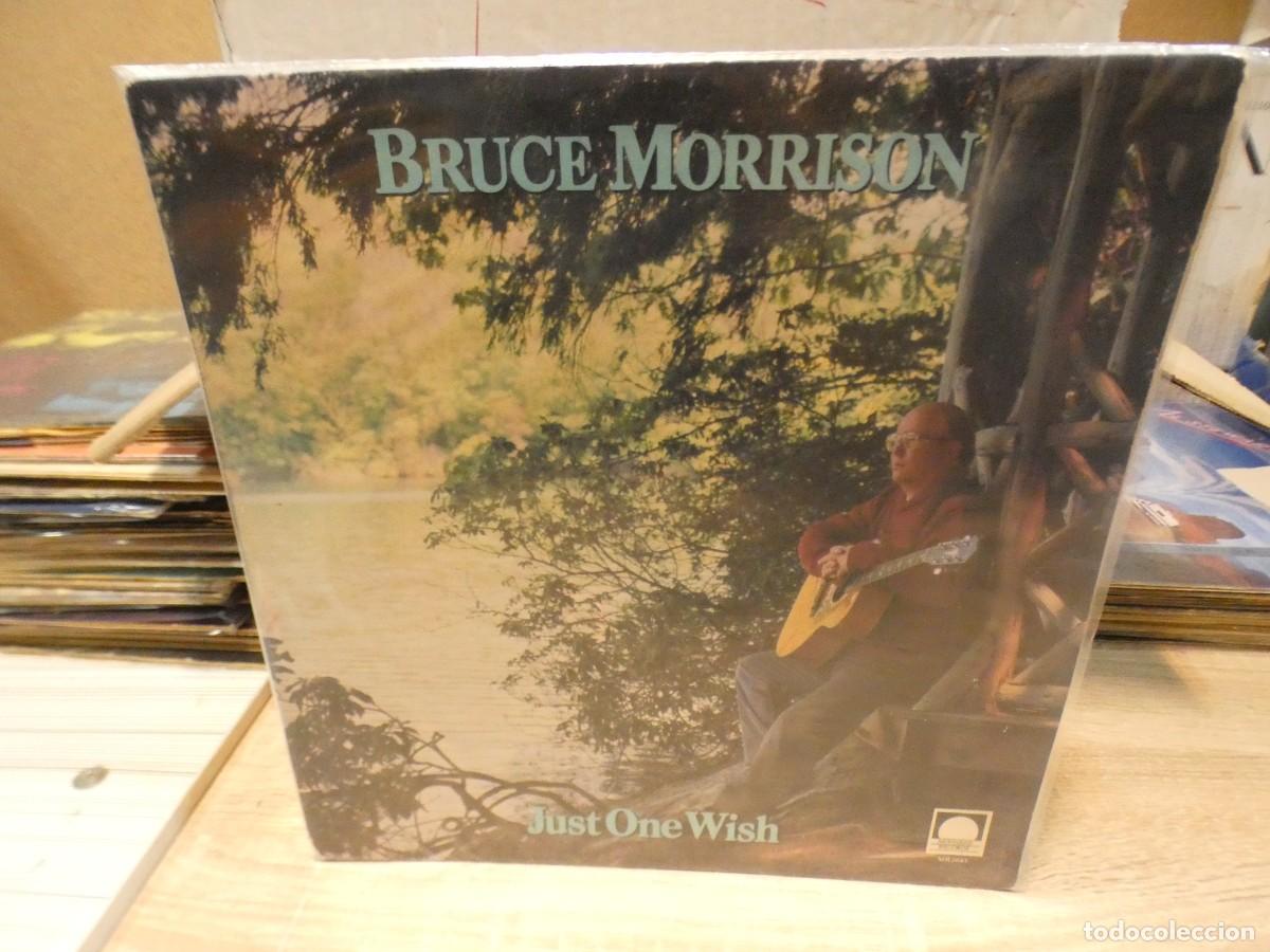 Vinyl records: ARKANSAS1980 LOTT719 VINILO MUY BUEN ESTADO BRUCE MORRISON