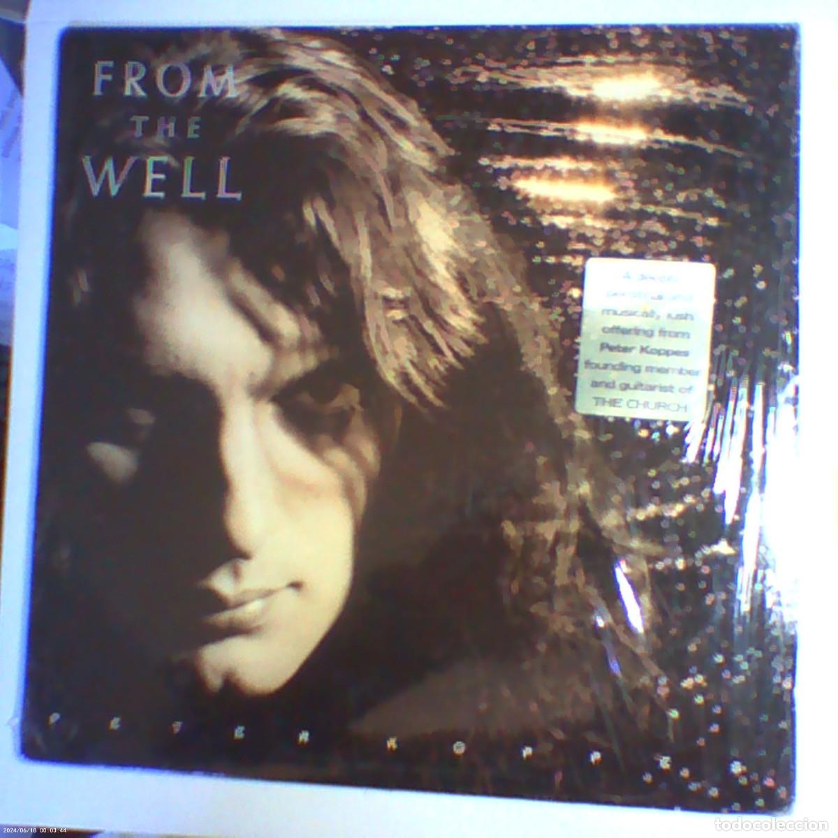 Discos de vinilo: lp peter koppes. from the well. tvt records 1989 USA. con inserto fotos/textos (seminuevo)