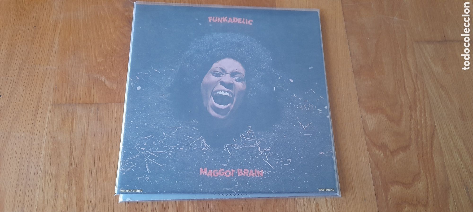 Discos de vinilo: Funkadelic - Maggot brain