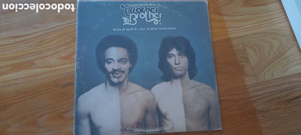 Discos de vinilo: Brother to Brother - Shades in creation