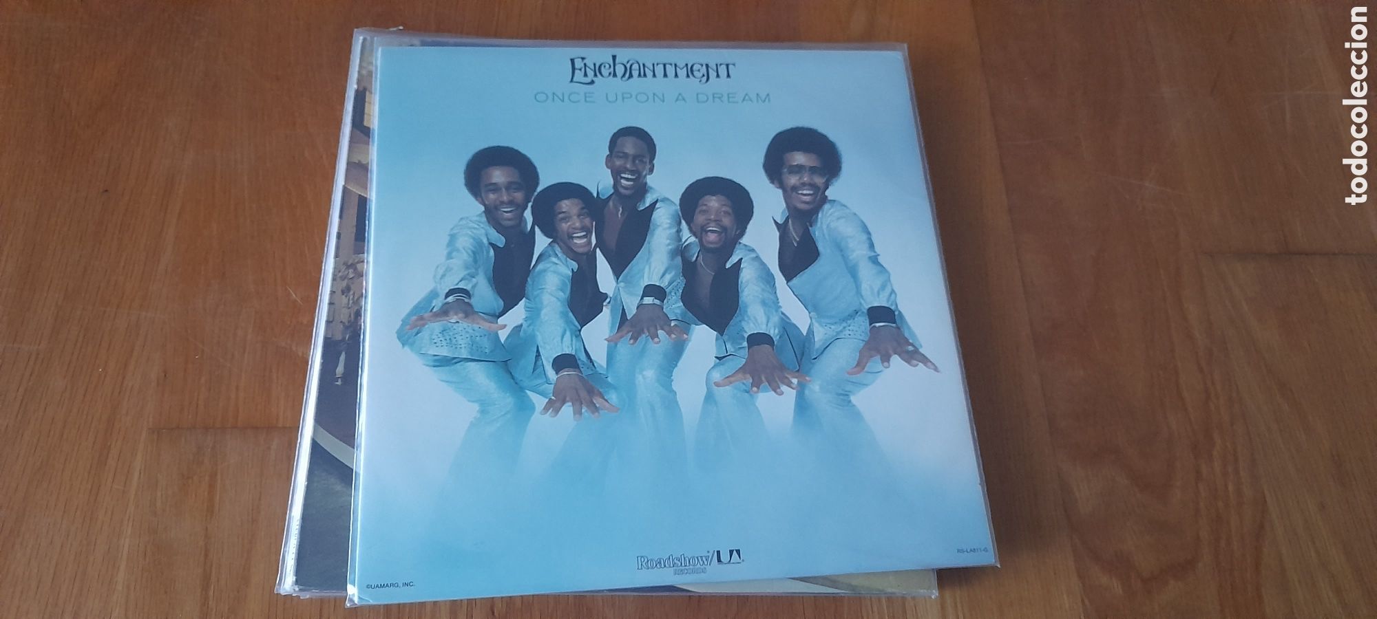Discos de vinilo: Enchantment - Once upon a dream