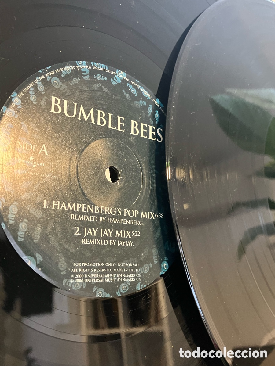 Discos de vinilo: Aqua - Bumble Bees 12 - Foto 4