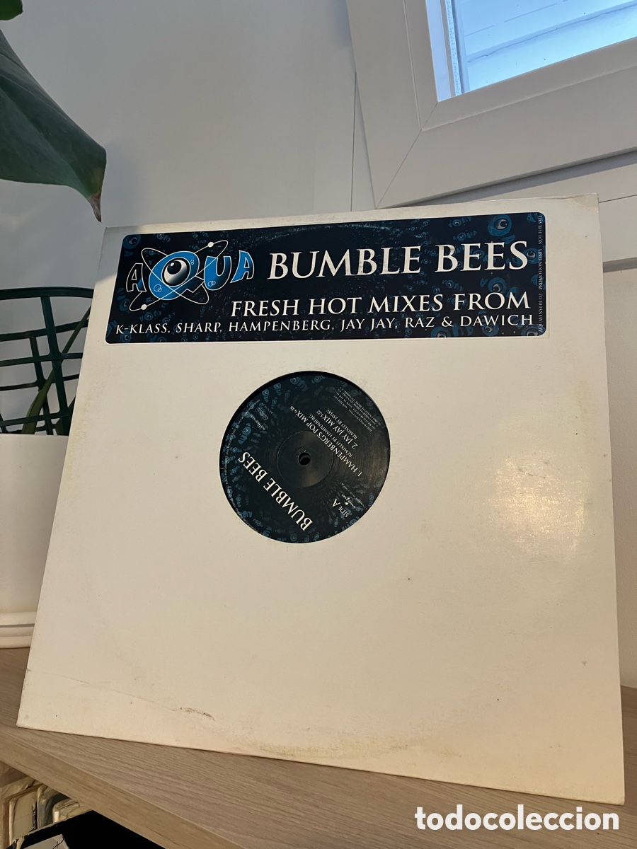 Discos de vinilo: Aqua - Bumble Bees 12
