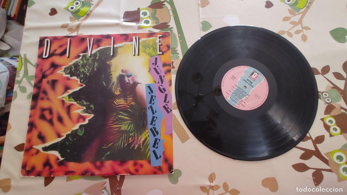 Discos de vinilo: DIVINE-LP JUNGLE JEZEBEL