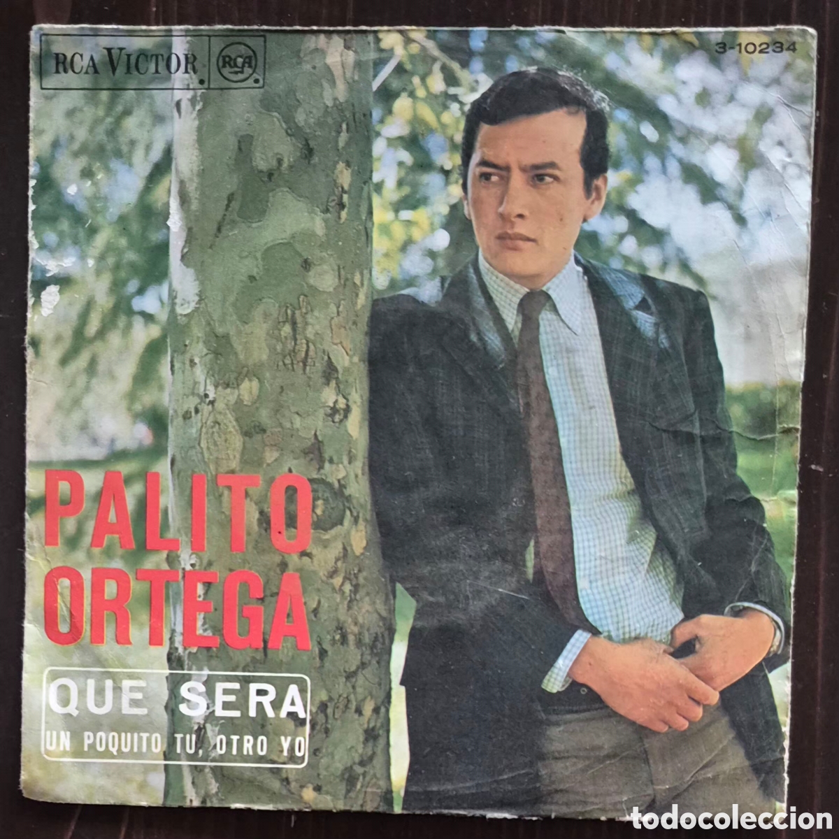 Discos de vinilo: SINGLE - PALITO ORTEGA - QUE SER&Aacute; - 1967 ESPA&Ntilde;A
