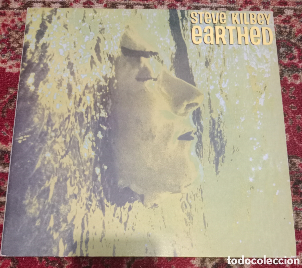 Discos de vinilo: Steve Kilbey&nbsp;&lrm;&ndash;&nbsp;Earthed LP EEUU 1989 transparente