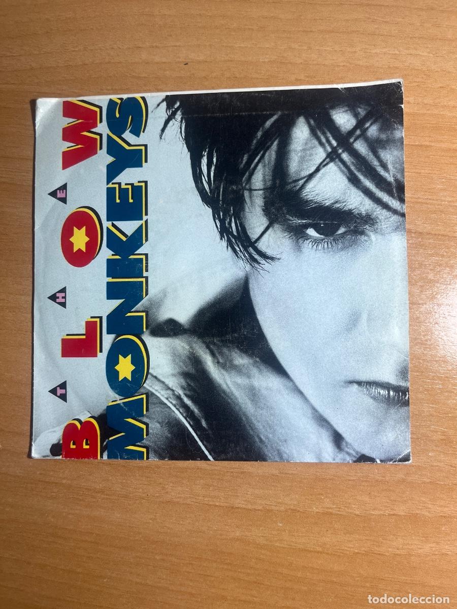 Vinyl records: It doesn&rsquo;t have to be that way | The blow monkeys | Disco Vinilo Musica