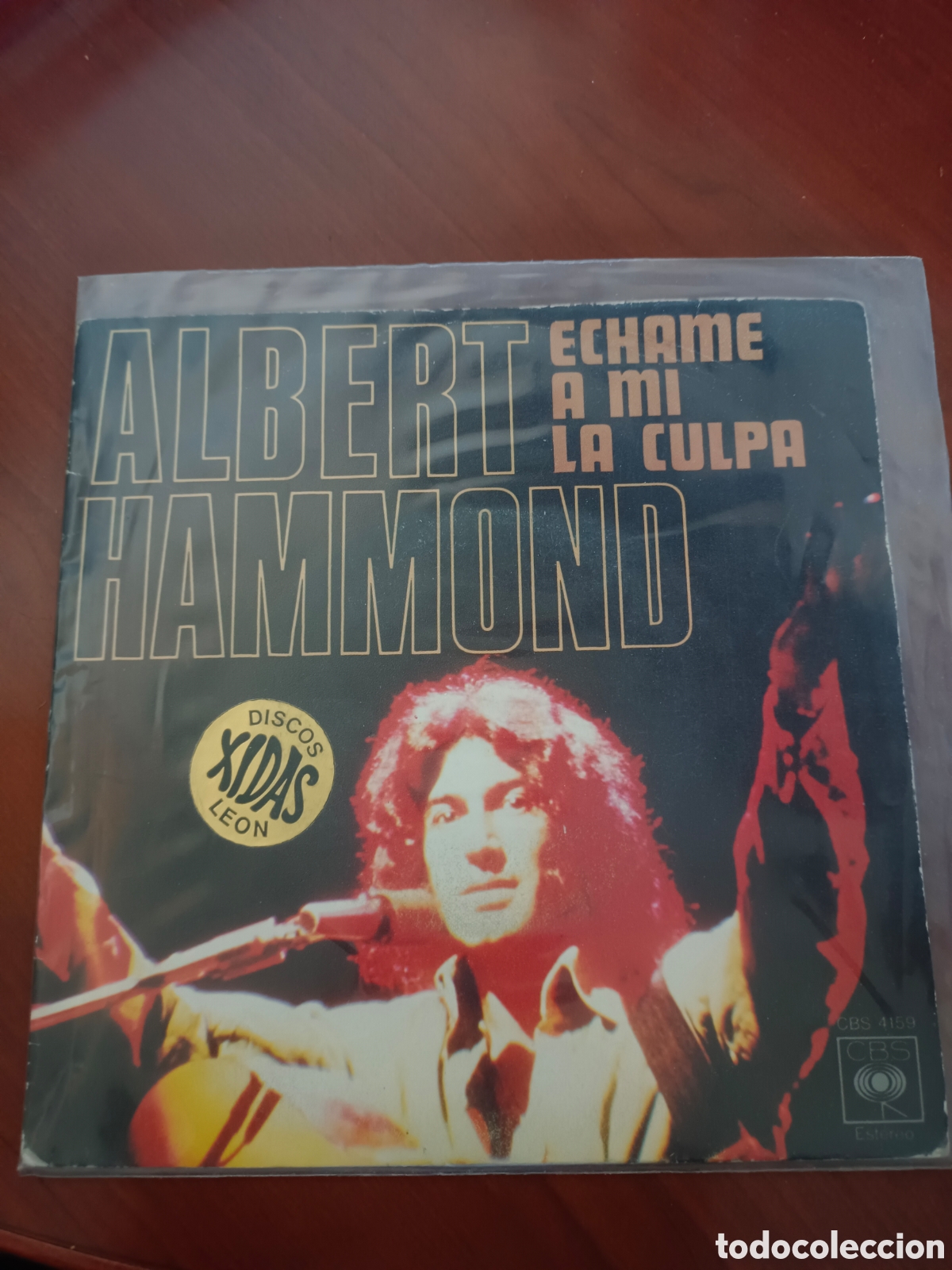 Discos de vinilo: SINGLE ALBERT HAMMOND - ECHAME A MI LA CULPA. CBS 1976. MUY BUEN ESTADO