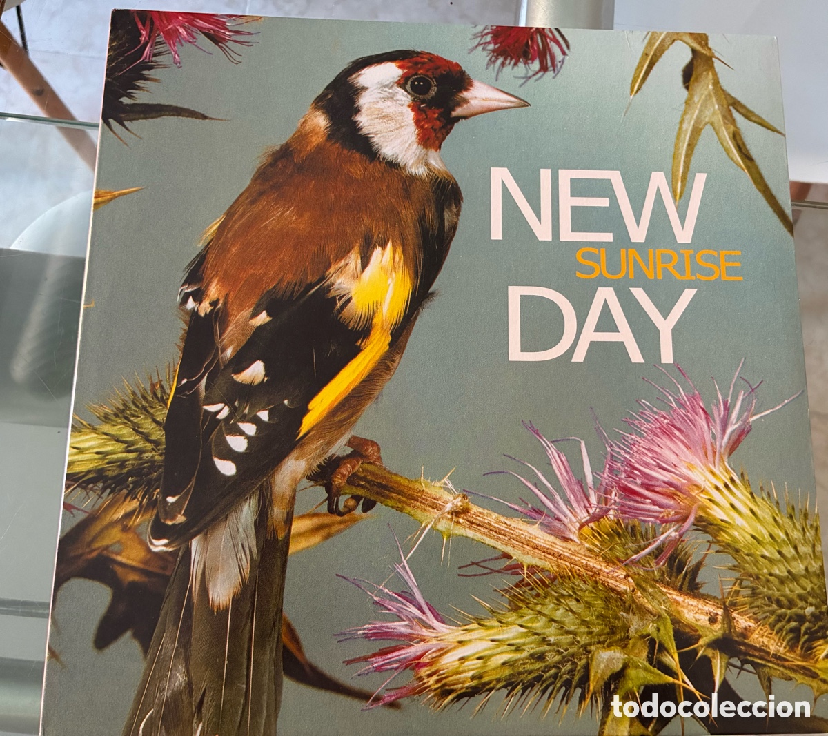 Discos de vinilo: New Day - Sunrise LP Nuevo