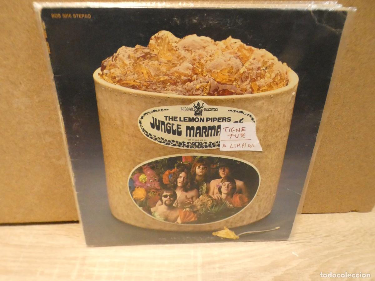 Dischi in vinile: ARKANSAS1980 BOXX727 VINILO LEVE USO AUN CORRECTO LEMON PIPER TIENE TUTE A LIMPIAR