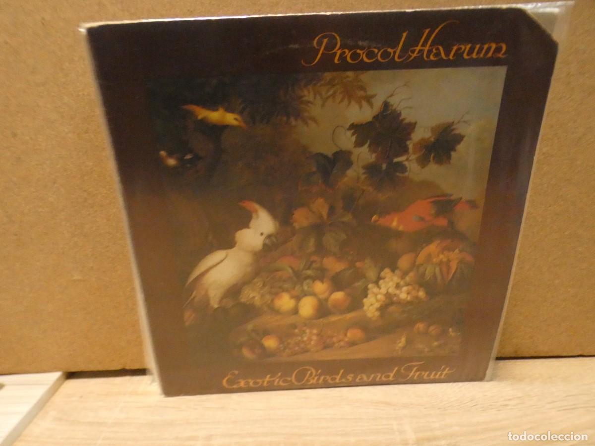 Discos de vinilo: ARKANSAS1980 CAJJ724 VINILO LEVE USO AUN CORRECTO PROCOL HARUM