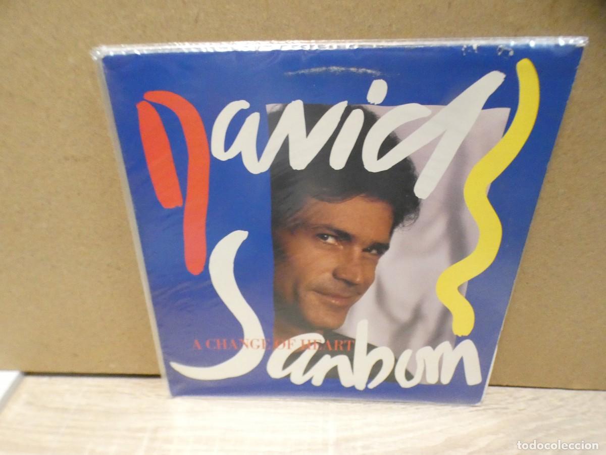 Discos de vinilo: ARKANSAS1980 CAJJ730 VINILO LEVE USO AUN CORRECTO DAVID SANBURN