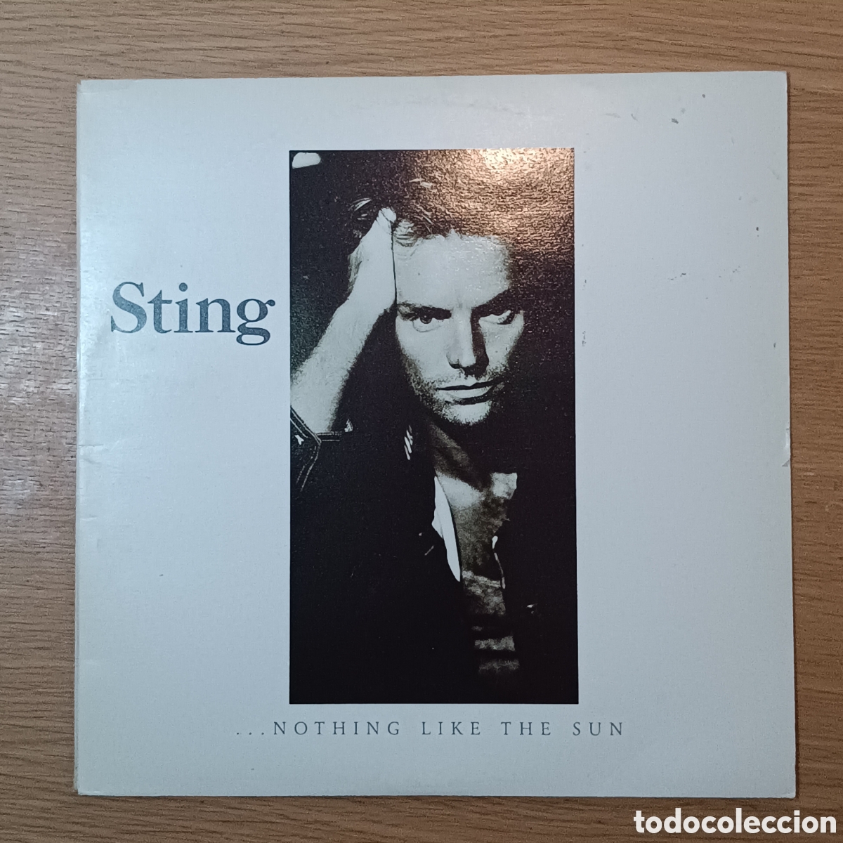 Discos de vinilo: Sting (2 LPs) Nothing Like The Sun