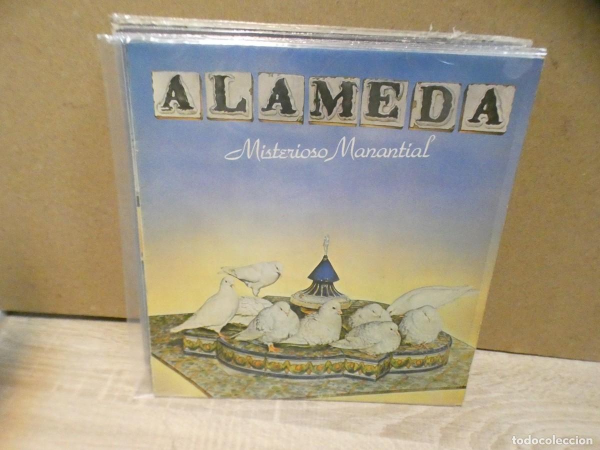 Vinyl records: ARKANSAS1980 EXPRO526 VINILO LEVE USO AUN CORRECTO ALAMEDA