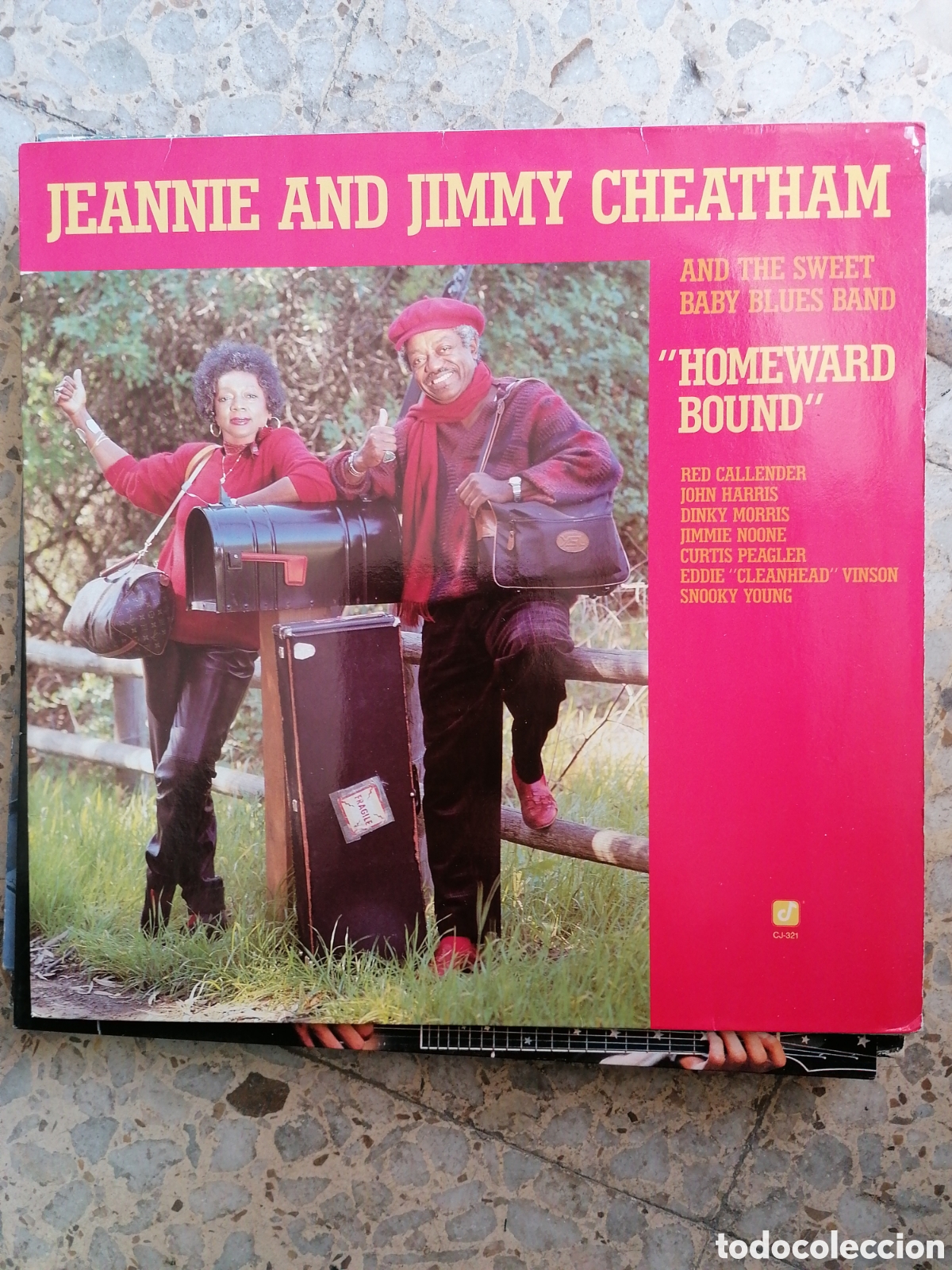 Discos de vinilo: LP JEANNIE AND JIMMY CHEATHAM HOMEWARD BOUND 1987 GERMANY