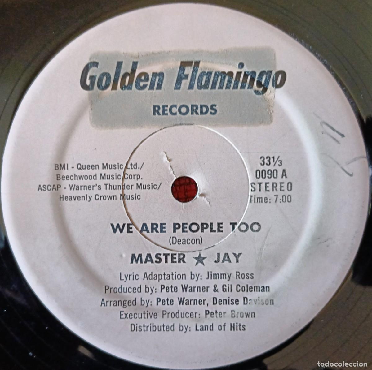 Discos de vinilo: MASTER JAY ** We Are People Too ** MAXI SINGLE VINILO 1980 USA