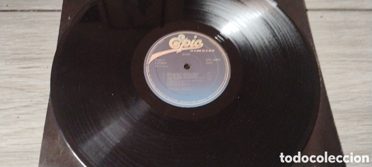 Discos de vinilo: STAY-VARIOUS-LP-EPIC/SPAIN-IB - Foto 3