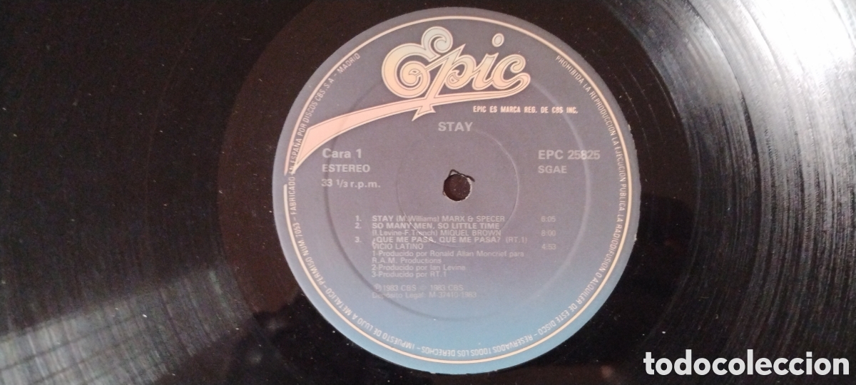 Discos de vinilo: STAY-VARIOUS-LP-EPIC/SPAIN-IB - Foto 4