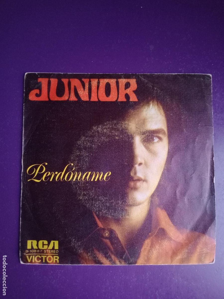 Discos de vinilo: JUNIOR &ndash; PERD&Oacute;NAME - SG RCA 1973 - POP 70'S, LEVE USO, NADA GRAVE