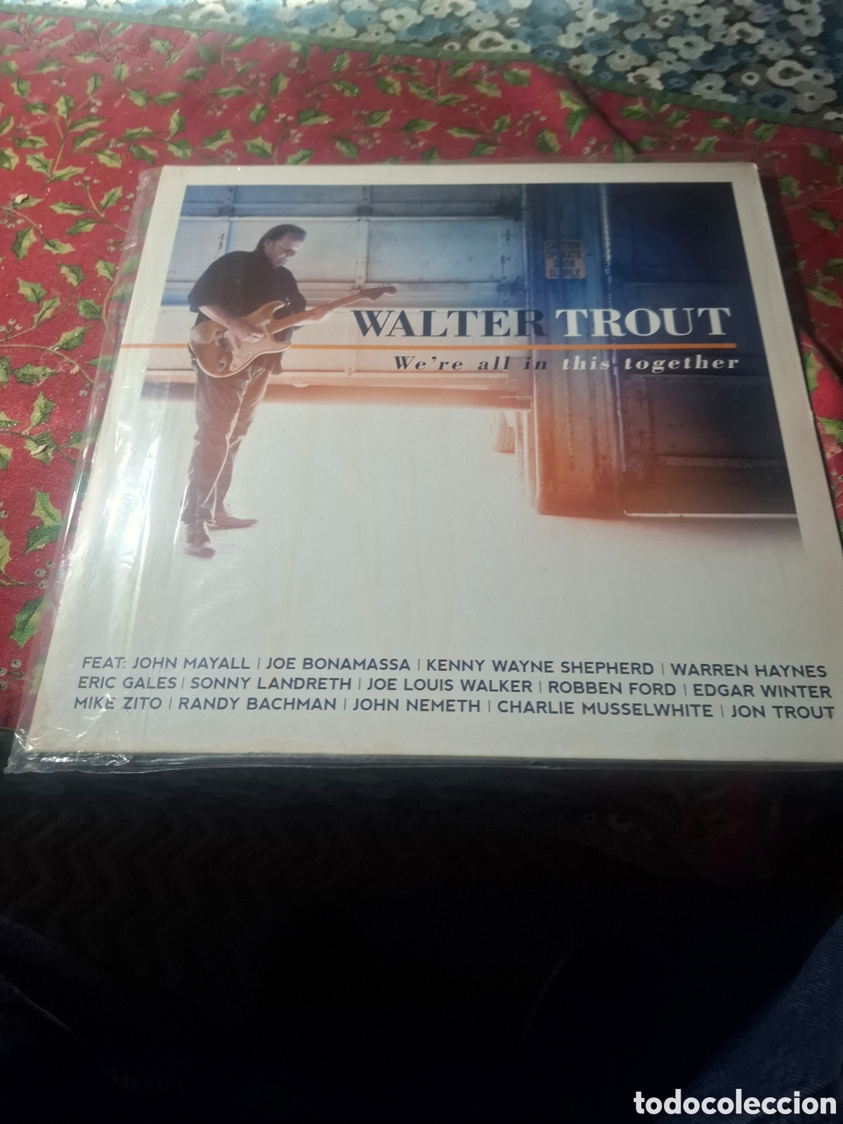 Discos de vinilo: Walter Trout We're all in this together 2lp