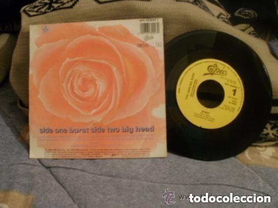 Discos de vinilo: THE DARLING BUDS Burst - Foto 2
