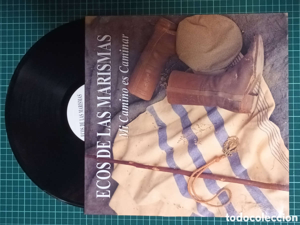 Discos de vinilo: Ecos de las Marismas