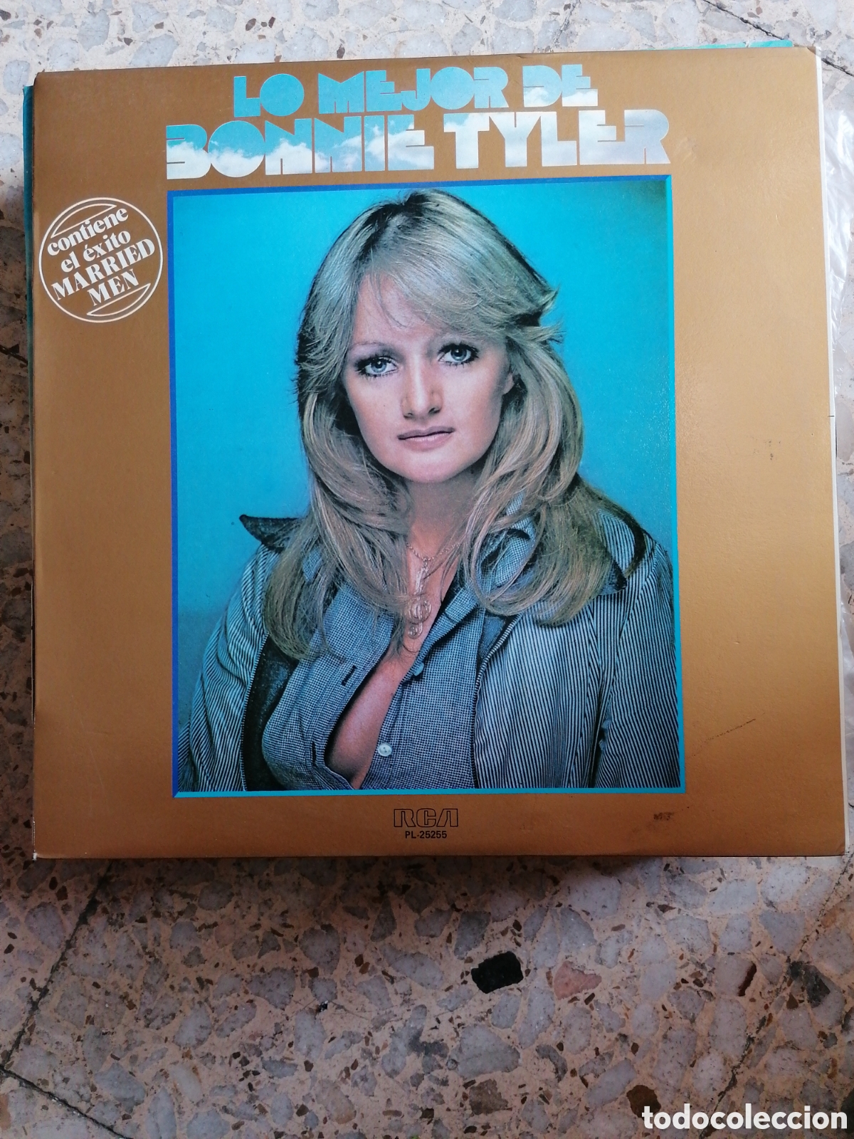 Discos de vinilo: LP LO MEJOR DE BONNIE TYLER 1979 ESPA&Ntilde;A