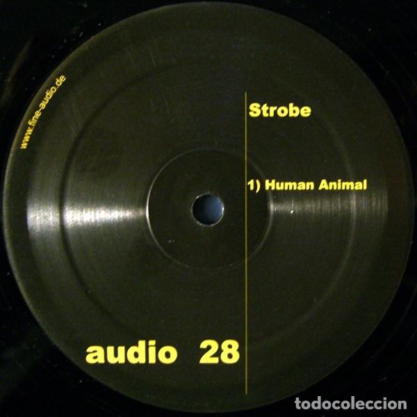 Discos de vinilo: Strobe &ndash; Human Animal - 2001
