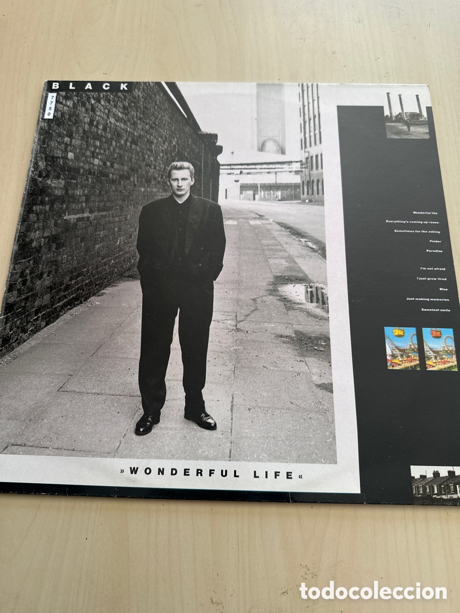 Disques de vinyle: VIN7750 black wonderful life VINILO DE SEGUNDAMANO