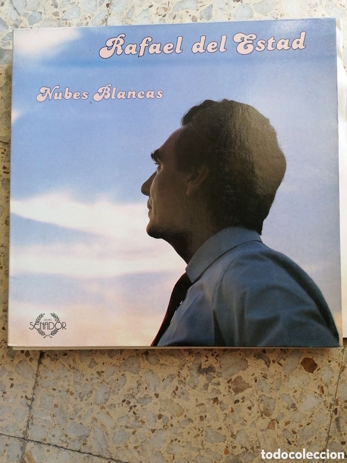Discos de vinilo: LP RAFAEL DEL ESTAD NUBES BLANCAS 1988 PORTADA DOBLE