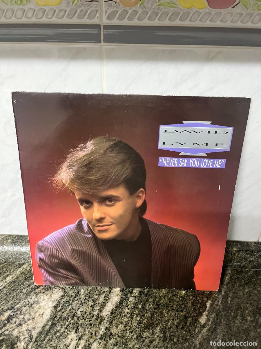 Discos de vinilo: David Lyme Never Say You Love Me