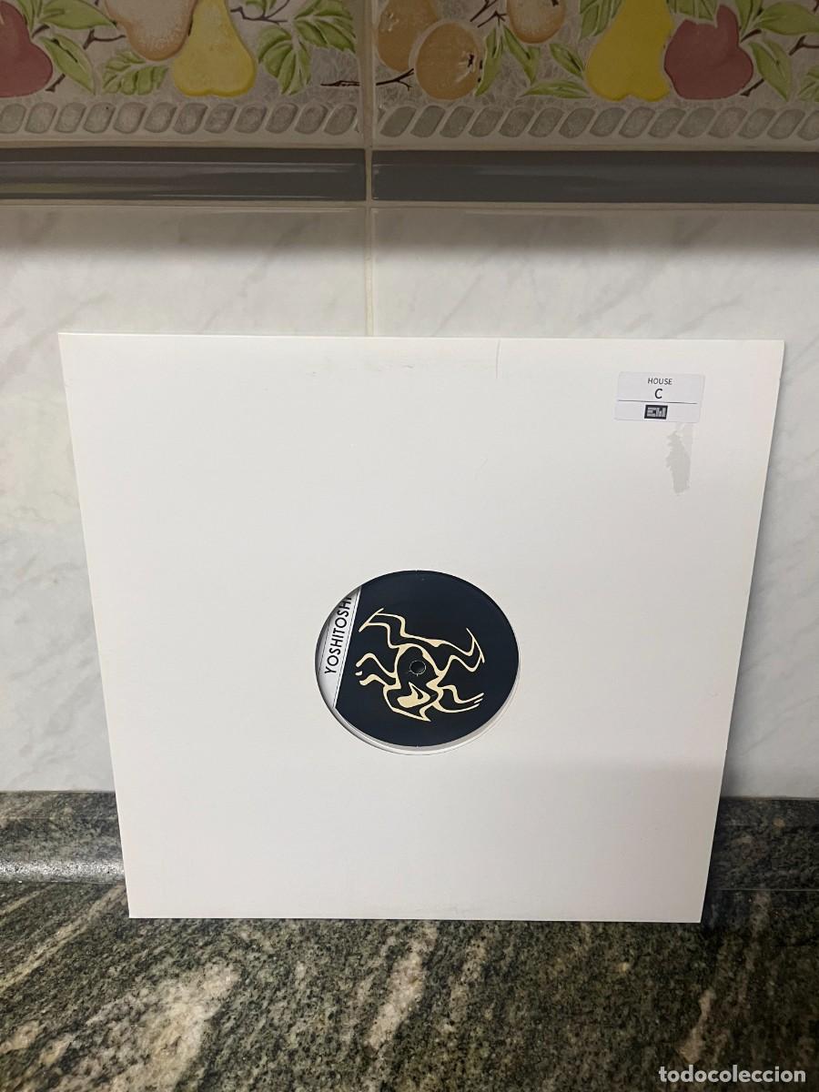 Discos de vinilo: Envy Falling MAXI HOUSE